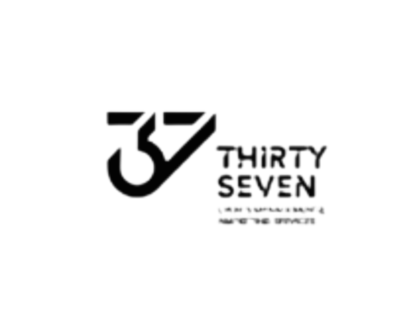 Thirty Seven logo